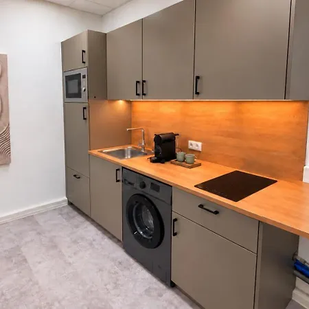 Appartement Meba Living - Business Mit Kueche Wifi Minibar Smart Tv Office Office Kostenloser Parklpatz Im Hof